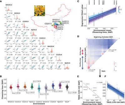 Genome-wide detection of genotype environment interactions for flowering time in Brassica napus